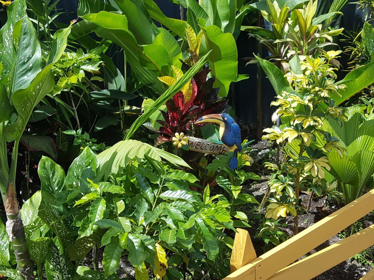 Red Frog Hotel La Fortuna Exterior photo