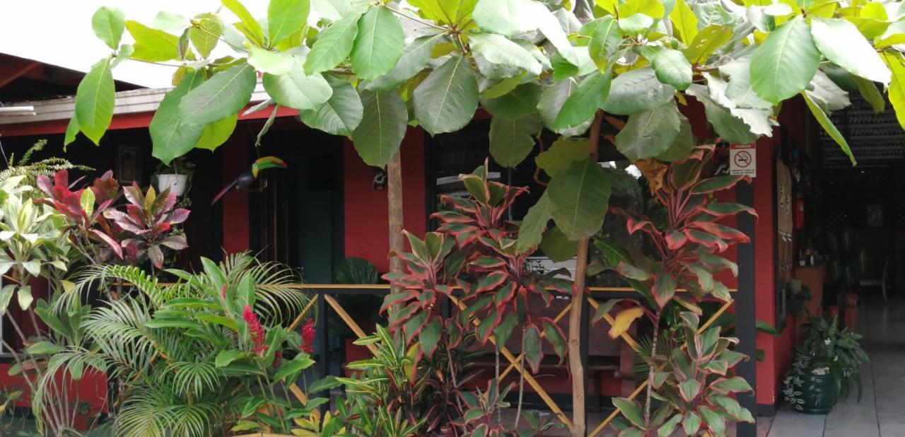 Red Frog Hotel La Fortuna Exterior photo